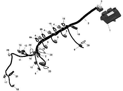 01- ROTAX - Engine Harness And Electronic Module