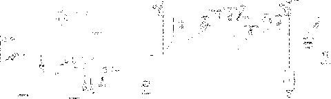 10- Electrical Harness - 710004957 Except DPS