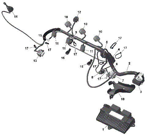 01- ROTAX - Engine Harness And Electronic Module