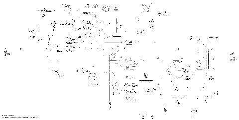 10- Electrical Harness