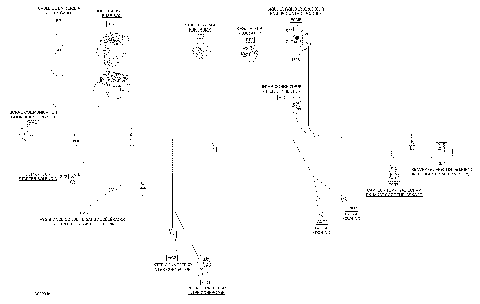 10- Electrical Harness Main 278003704