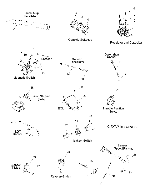 ELECTRICAL, SWITCHES, SENSORS and COMPONENTS - S09PM8/PG8/PH8 ALL OPTIONS (49SNOWELECT09ASLT)