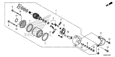 STARTER MOTOR (1)
