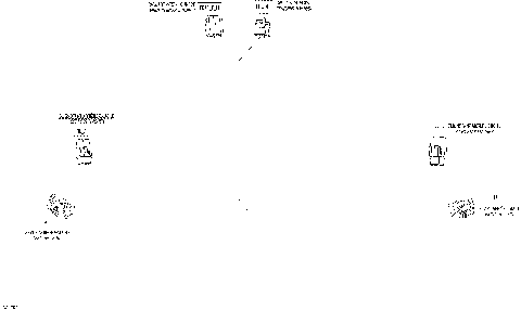 10- Electrical Harness Rear - 710005544