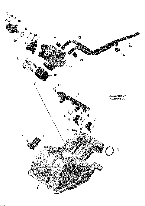 02- Air Intake Manifold And Throttle Body