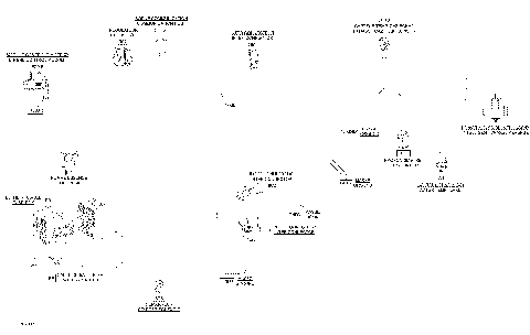 10- Electrical Harness Main 278003816