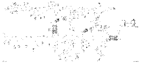 10- Main Harness - 710005451 - T & LTD