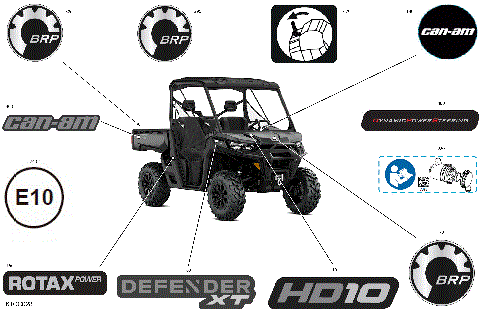 07- Body - Decals