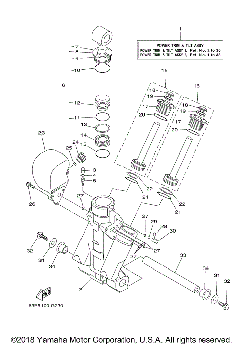 POWER TRIM TILT ASSY 1