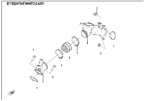 INTAKE MANIFOLD ASSY (WHITOUT FUEL VAPORIZATION SYSTEM)