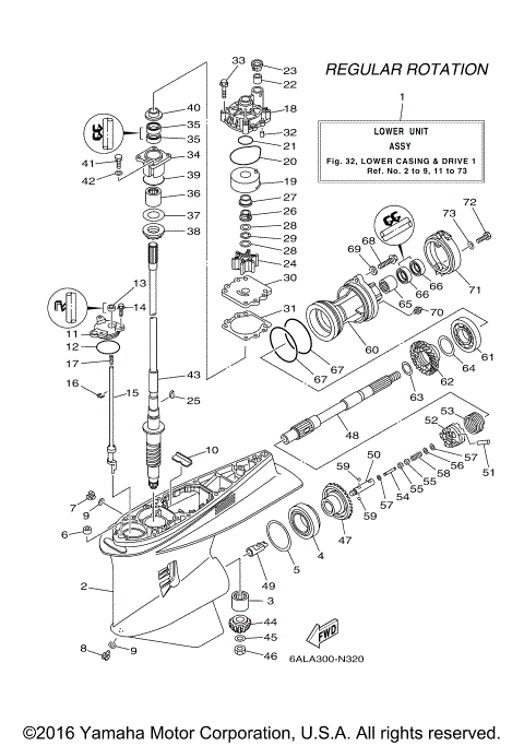 LOWER CASING DRIVE 1