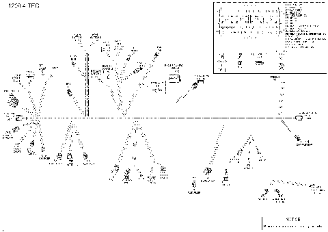 10- Electrical Harness - 1200 4-TEC