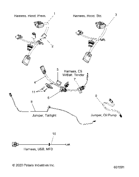 ELECTRICAL, JUMPERS/WIRE HARNESS - S21ELS8R/8RE ALL OPTIONS (601591)