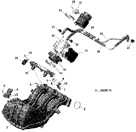 01- Engine - Air Intake Manifold And Throttle Body