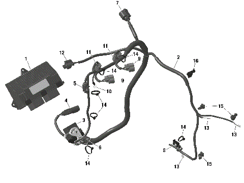 01- ROTAX - Engine Harness And Electronic Module