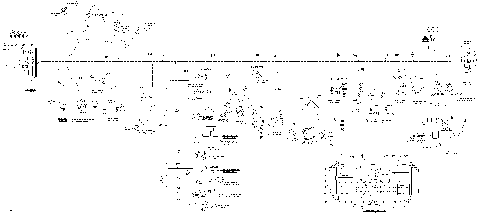 10- Main Harness 800R EFI