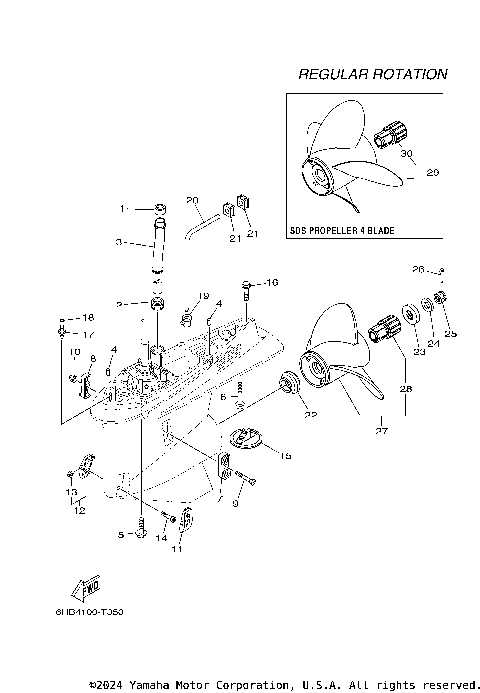 LOWER CASING DRIVE 2