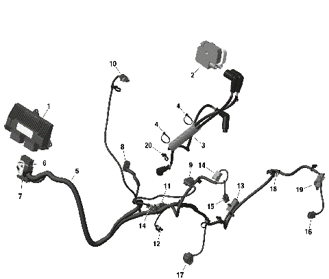 01- ROTAX - Engine Harness And Electronic Module