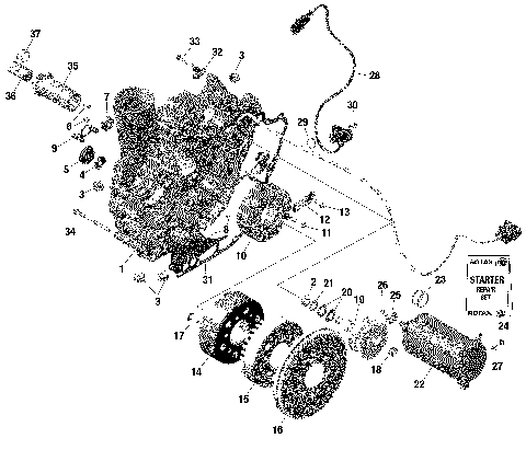 01- ROTAX - Magneto and Electric Starter - With Catalyst