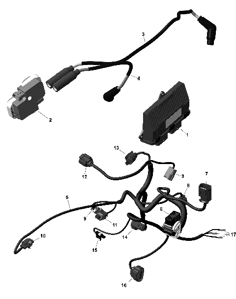 01- ROTAX - Engine Harness And Electronic Module