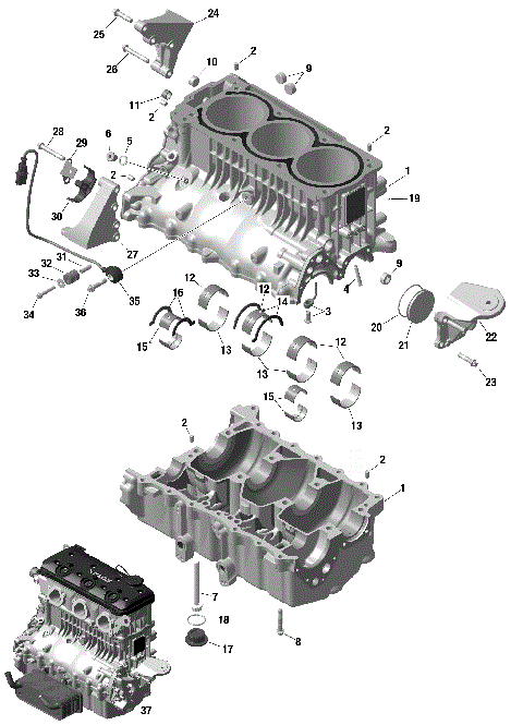 01- ROTAX - Crankcase