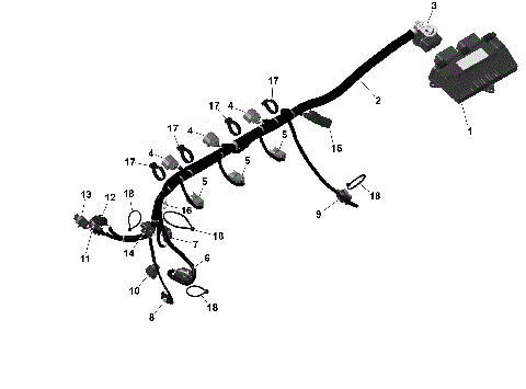 01- ROTAX - Engine Harness And Electronic Module