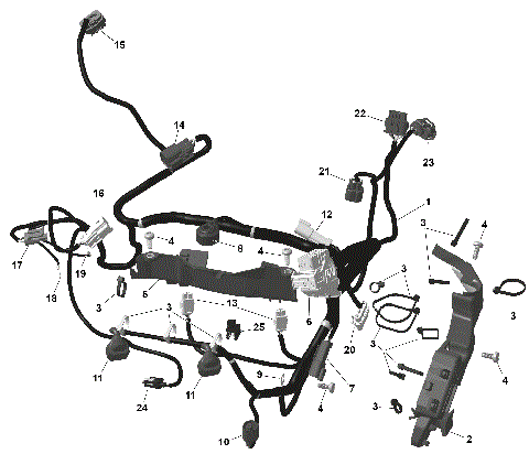 01- ROTAX - Engine Harness And Electronic Module