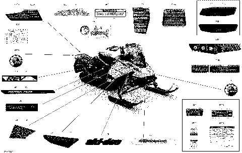 09- Body - Decals - Adrenaline