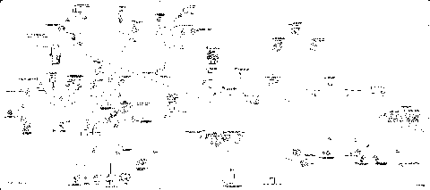 10- Frame Harness , SE5