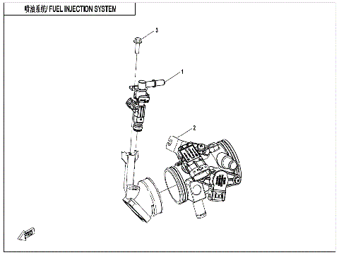 FUEL INJECTION SYSTEM