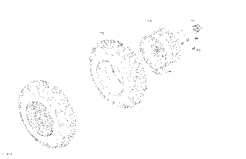 04- Drive - Front Section - Wheels - STD - DPS