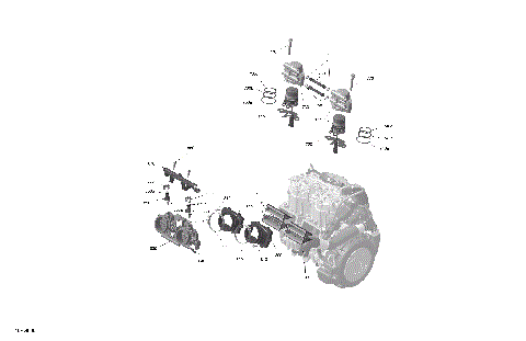 01- ROTAX - Electronic Fuel Injection