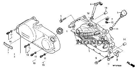 RIGHT CRANKCASE COVER