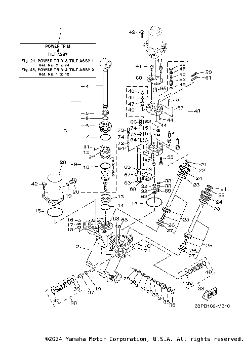 POWER TRIM TILT ASSY 1