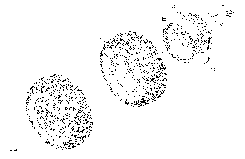 04- Drive - Rear Wheels - DPS - XT