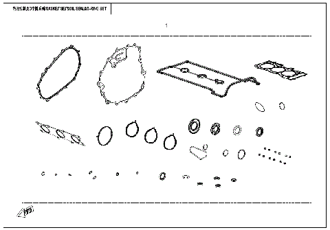ENGINE GASKET SET & O-RINGS
