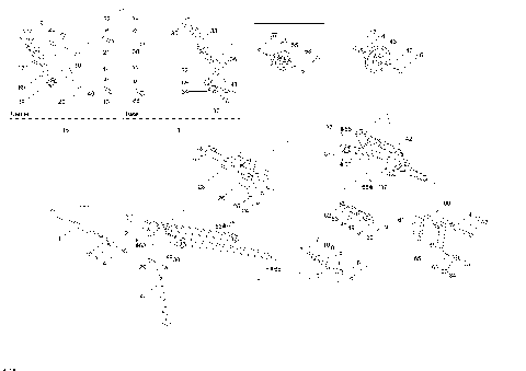 08- Rear Suspension (28L1516)