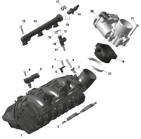 01- ROTAX - Air Intake Manifold And Throttle Body