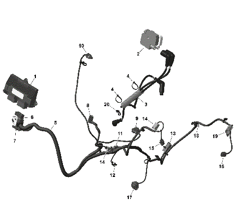 01- ROTAX - Engine Harness And Electronic Module