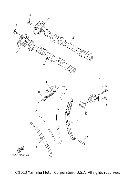 CAMSHAFT & CHAIN