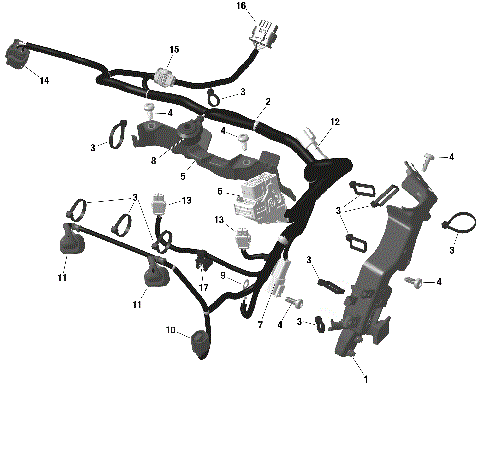 01- ROTAX - Engine Harness And Electronic Module