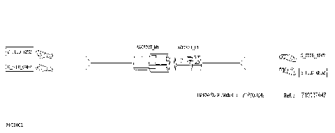 08- Electric - Roof Wiring Harness - 710007047
