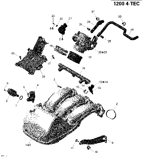 02- Air Intake Manifold And Throttle Body