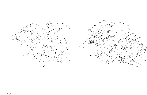 09- Decals Defender Non MAX HD5 Package BASE