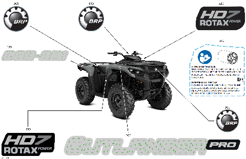07- Body - Feature Decals