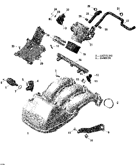 02- Air Intake Manifold And Throttle Body