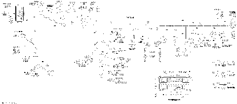 10- Main Harness International