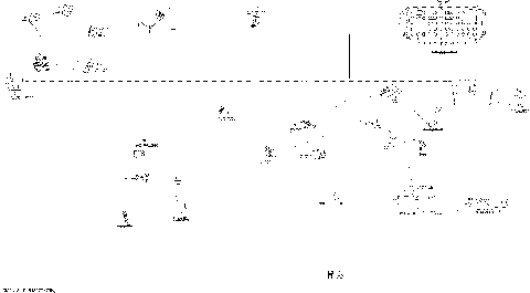 10- Electrical Harness