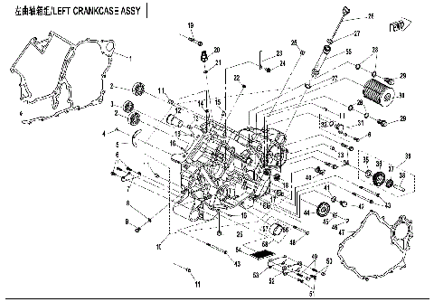 LEFT CRANKCASE ASSY.