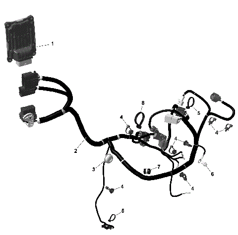 01- ROTAX - Engine Harness And Electronic Module